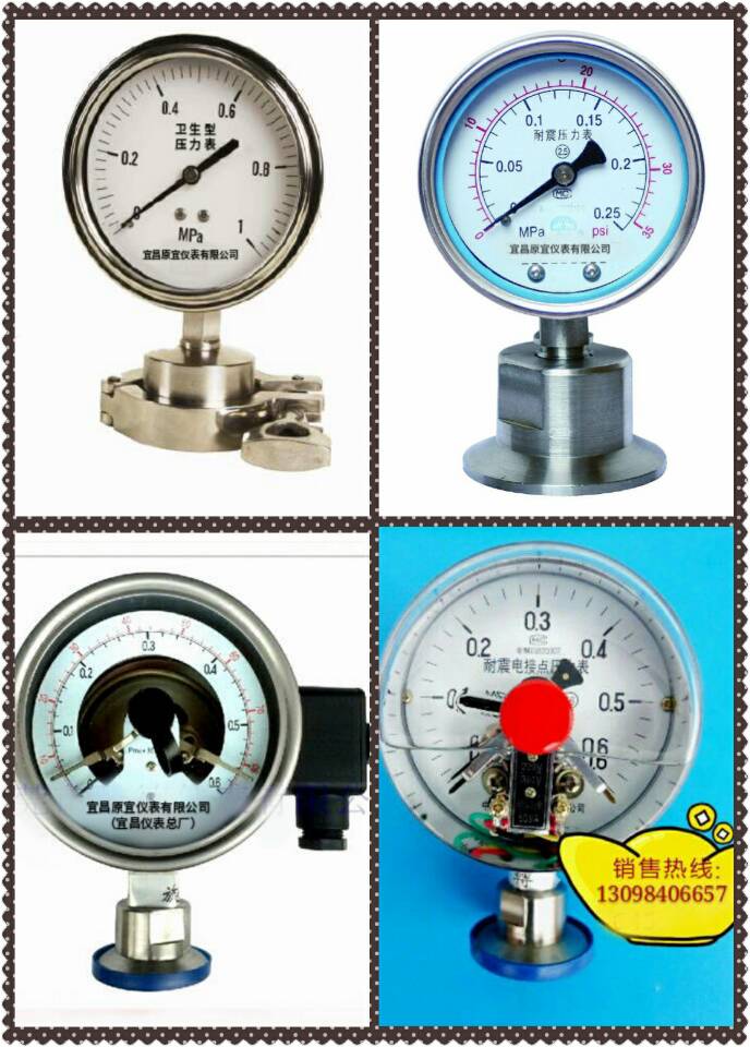 衛生型系列隔膜壓力表 衛生型系列隔膜壓力表